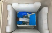 Cần biết: Hướng dẫn về bảo quản, phân phối và sử dụng vắc xin phòng COVID-19