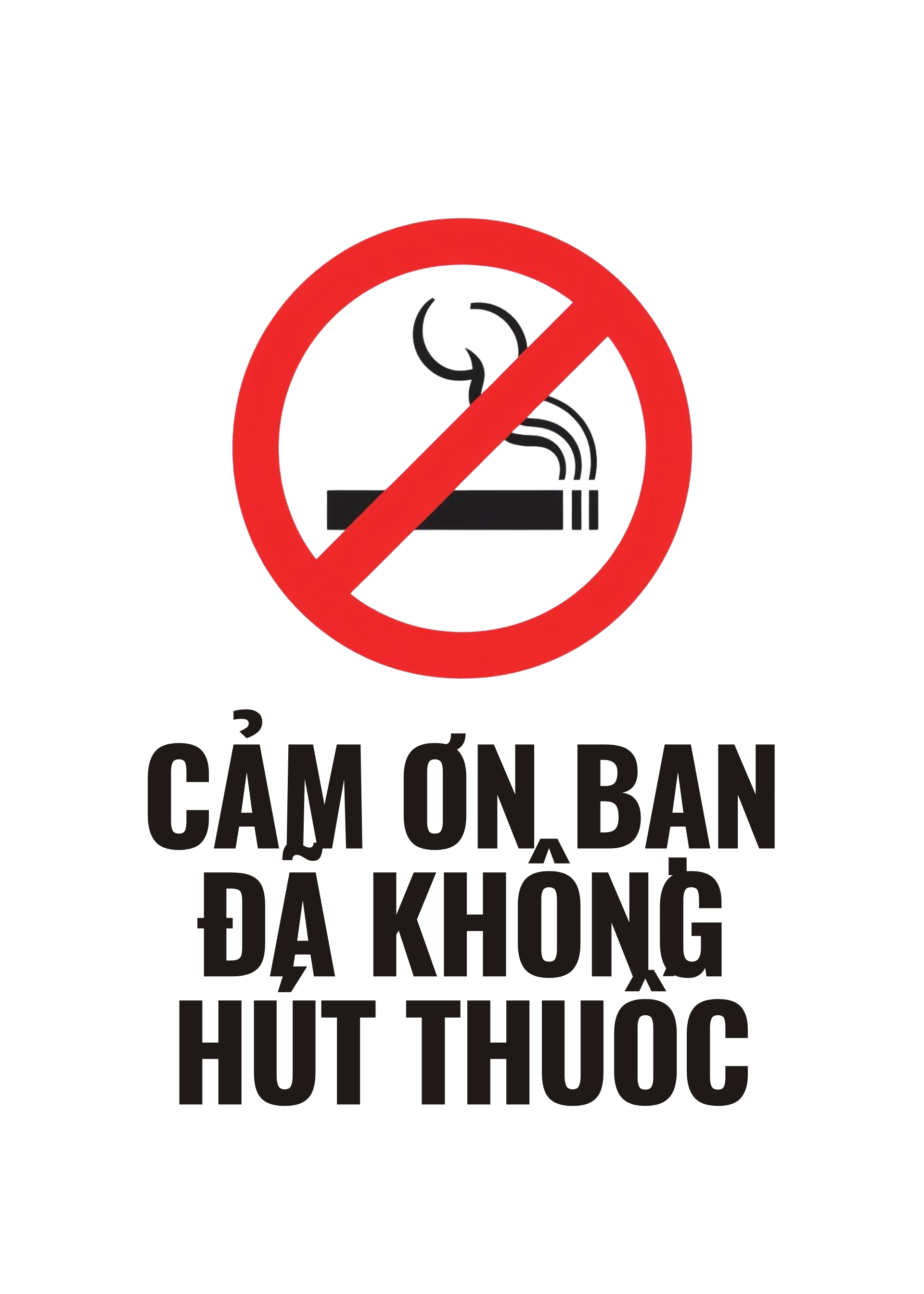 HƯỞNG ỨNG NGÀY THẾ GIỚI KHÔNG THUỐC LÁ 31/5/2026 TUẦN LỄ QUỐC GIA KHÔNG THUỐC LÁ (25/5 – 31/5/2026)